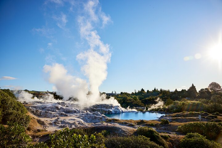 Discover the unique geothermal features of Rotorua where steaming lakes and bubbling mud pools create an unforgettable backdrop for exploration and family-friendly adventures.